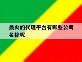 最火的代理平台有哪些公司名称呢