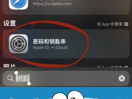 隐私小号什么意思啊苹果手机怎么设置密码