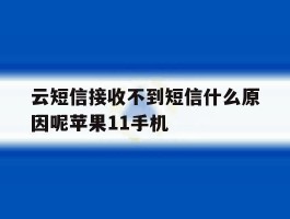 包含云短信接收不到短信什么原因呢苹果11手机的词条