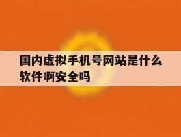 国内虚拟手机号网站是什么软件啊安全吗的简单介绍