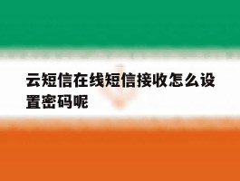 云短信在线短信接收怎么设置密码呢