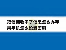 关于短信接收不了信息怎么办苹果手机怎么设置密码的信息