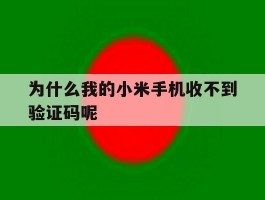 为什么我的小米手机收不到验证码呢
