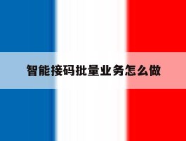 智能接码批量业务怎么做