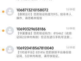 短信接收是什么意思啊怎么发的