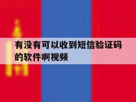 有没有可以收到短信验证码的软件啊视频