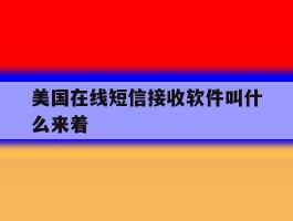 美国在线短信接收软件叫什么来着
