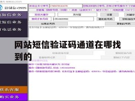 网站短信验证码通道在哪找到的