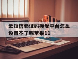 关于云短信验证码接受平台怎么设置不了呢苹果11的信息