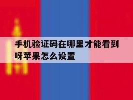 手机验证码在哪里才能看到呀苹果怎么设置