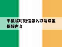 手机临时短信怎么取消设置提醒声音