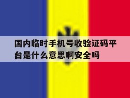 国内临时手机号收验证码平台是什么意思啊安全吗的简单介绍