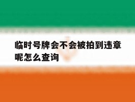 临时号牌会不会被拍到违章呢怎么查询