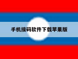 手机接码软件下载苹果版