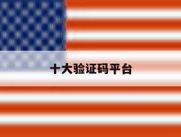 十大验证码平台