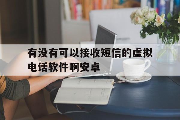 有没有可以接收短信的虚拟电话软件啊安卓 有没有可以接收短信的虚拟电话软件啊安卓
