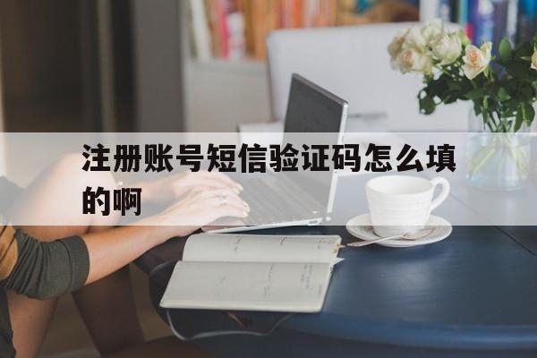 注册账号短信验证码怎么填的啊 注册账号短信验证码怎么填的啊