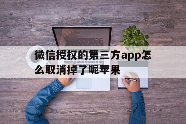 微信授权的第三方app怎么取消掉了呢苹果 微信授权的第三方app怎么取消掉了呢苹果