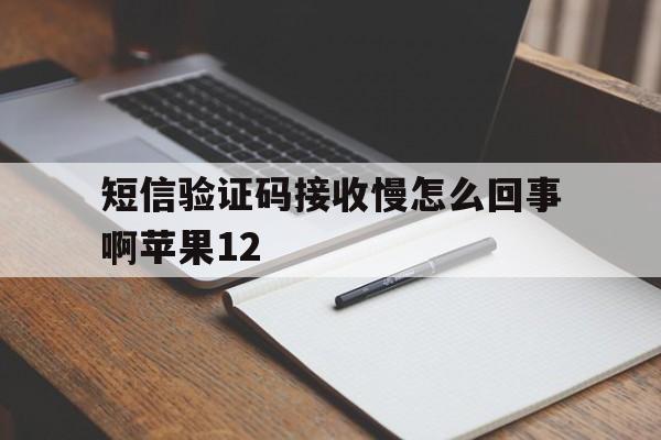 短信验证码接收慢怎么回事啊苹果12 短信验证码接收慢怎么回事啊苹果12