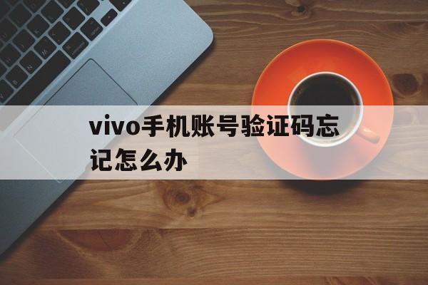 vivo手机账号验证码忘记怎么办 vivo手机账号验证码忘记怎么办