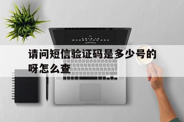请问短信验证码是多少号的呀怎么查 请问短信验证码是多少号的呀怎么查