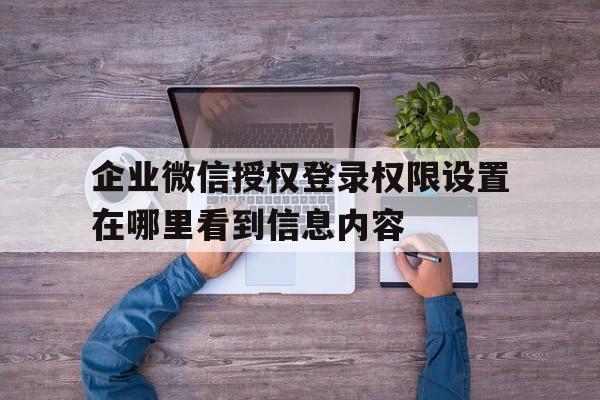 关于企业微信授权登录权限设置在哪里看到信息内容的信息