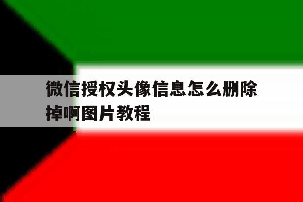 微信授权头像信息怎么删除掉啊图片教程的简单介绍 微信授权头像信息怎么删除掉啊图片教程的简单介绍