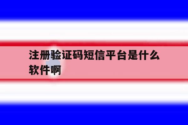 注册验证码短信平台是什么软件啊