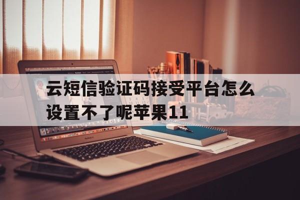 关于云短信验证码接受平台怎么设置不了呢苹果11的信息 关于云短信验证码接受平台怎么设置不了呢苹果11的信息