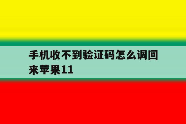 手机收不到验证码怎么调回来苹果11 手机收不到验证码怎么调回来苹果11