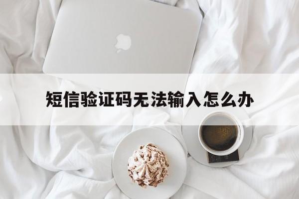 短信验证码无法输入怎么办 短信验证码无法输入怎么办