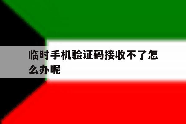 临时手机验证码接收不了怎么办呢 临时手机验证码接收不了怎么办呢