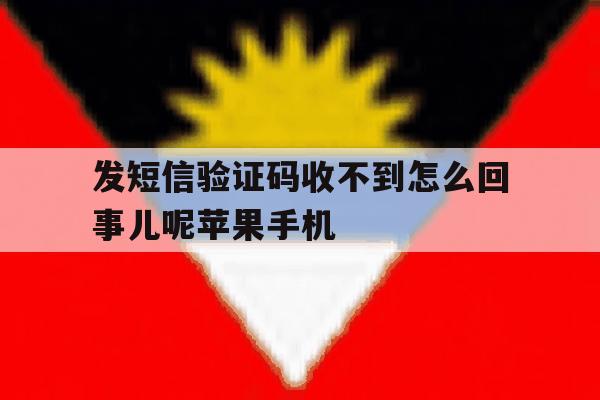 包含发短信验证码收不到怎么回事儿呢苹果手机的词条 包含发短信验证码收不到怎么回事儿呢苹果手机的词条