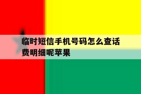 临时短信手机号码怎么查话费明细呢苹果的简单介绍 临时短信手机号码怎么查话费明细呢苹果的简单介绍