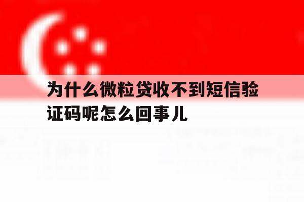 为什么微粒贷收不到短信验证码呢怎么回事儿的简单介绍 为什么微粒贷收不到短信验证码呢怎么回事儿的简单介绍