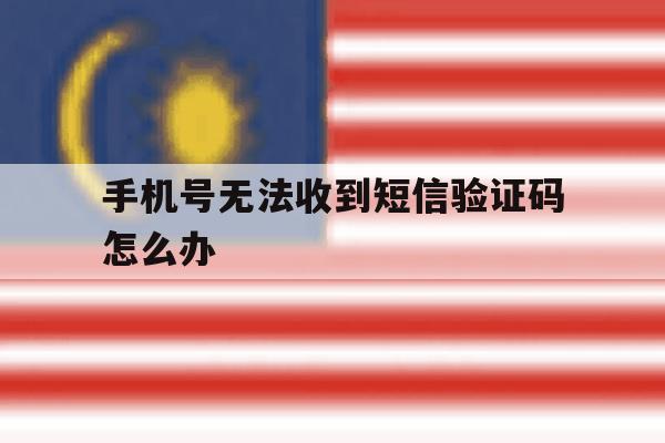 手机号无法收到短信验证码怎么办 手机号无法收到短信验证码怎么办