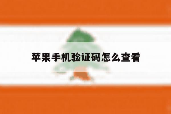 苹果手机验证码怎么查看 苹果手机验证码怎么查看