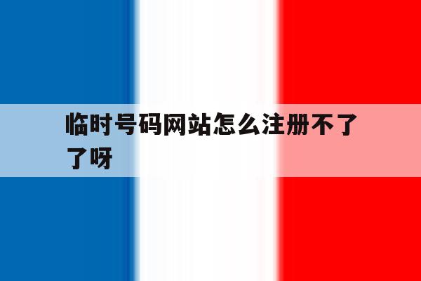 临时号码网站怎么注册不了了呀