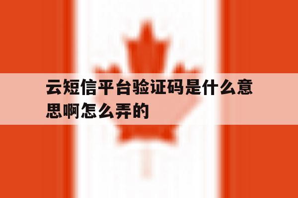 云短信平台验证码是什么意思啊怎么弄的 云短信平台验证码是什么意思啊怎么弄的