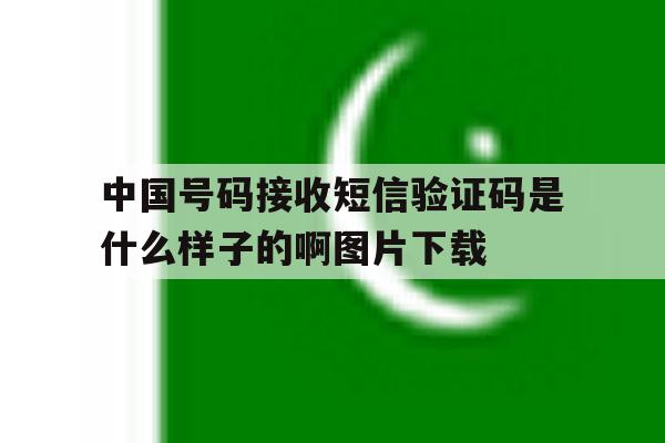 关于中国号码接收短信验证码是什么样子的啊图片下载的信息 关于中国号码接收短信验证码是什么样子的啊图片下载的信息