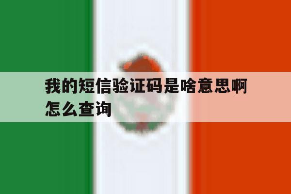 我的短信验证码是啥意思啊怎么查询 我的短信验证码是啥意思啊怎么查询