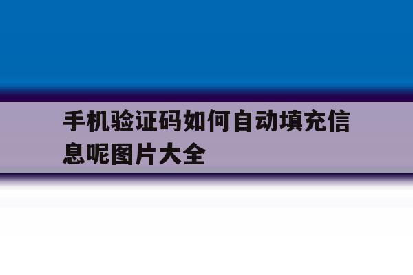 手机验证码如何自动填充信息呢图片大全 手机验证码如何自动填充信息呢图片大全