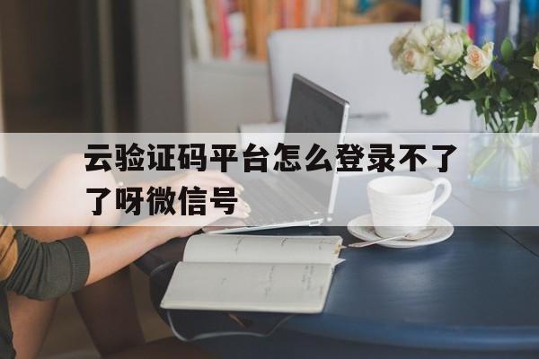 关于云验证码平台怎么登录不了了呀微信号的信息