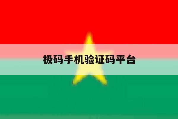 极码手机验证码平台 极码手机验证码平台