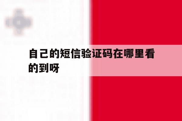 自己的短信验证码在哪里看的到呀 自己的短信验证码在哪里看的到呀