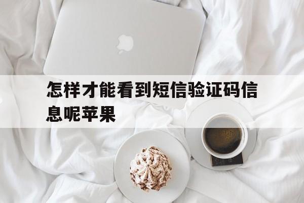 怎样才能看到短信验证码信息呢苹果 怎样才能看到短信验证码信息呢苹果