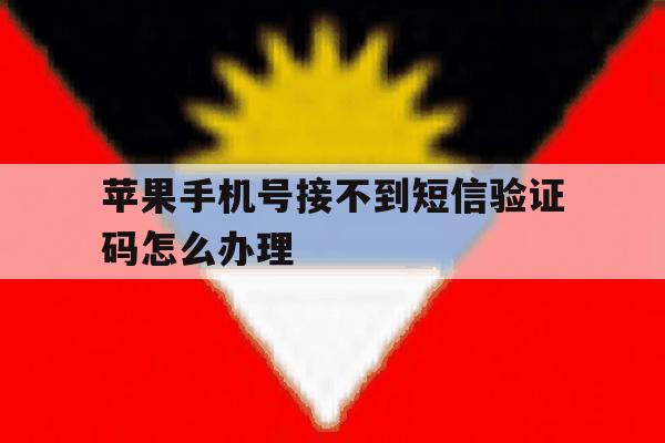 苹果手机号接不到短信验证码怎么办理 苹果手机号接不到短信验证码怎么办理