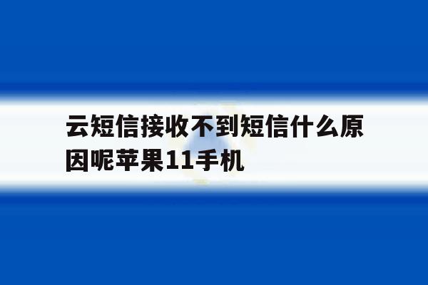 包含云短信接收不到短信什么原因呢苹果11手机的词条 包含云短信接收不到短信什么原因呢苹果11手机的词条