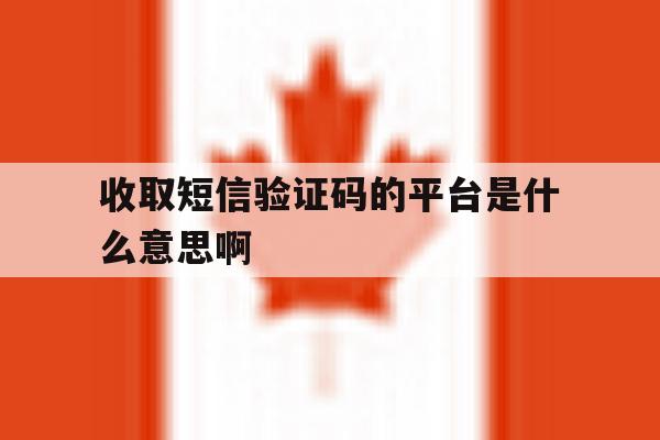 收取短信验证码的平台是什么意思啊 收取短信验证码的平台是什么意思啊