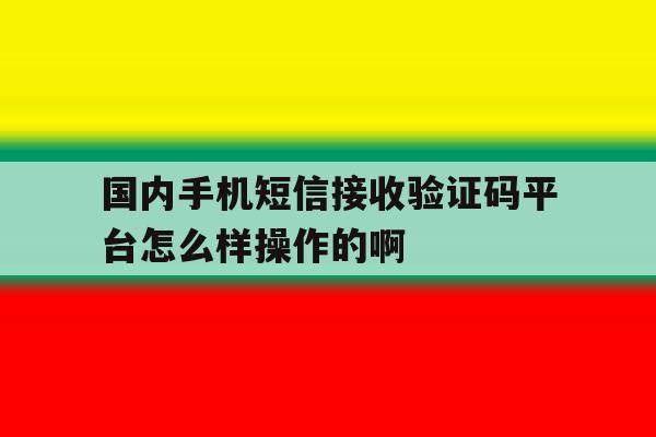 国内手机短信接收验证码平台怎么样操作的啊 国内手机短信接收验证码平台怎么样操作的啊